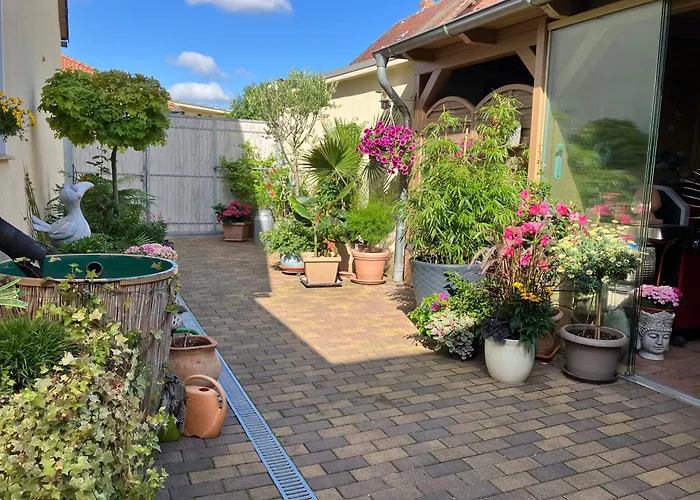 Abelia Gaestehaeuser